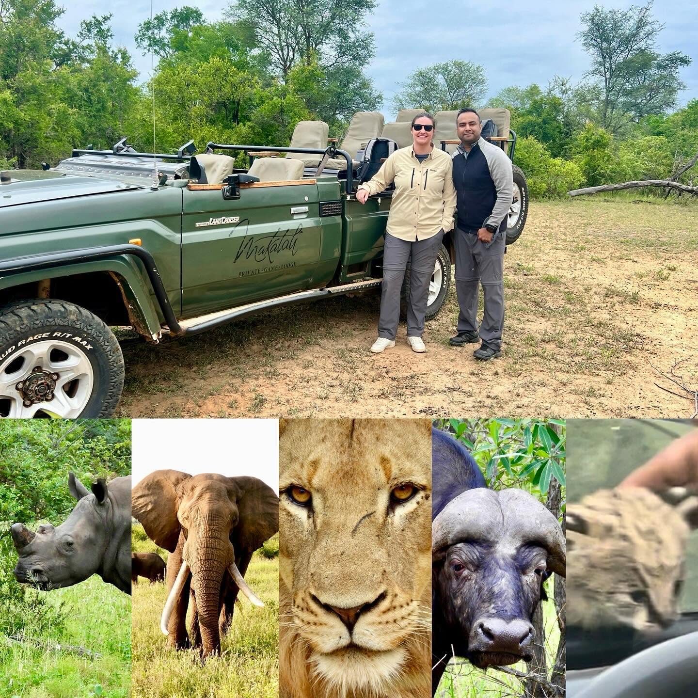 The Big Five animals of South Africa encountered on safari