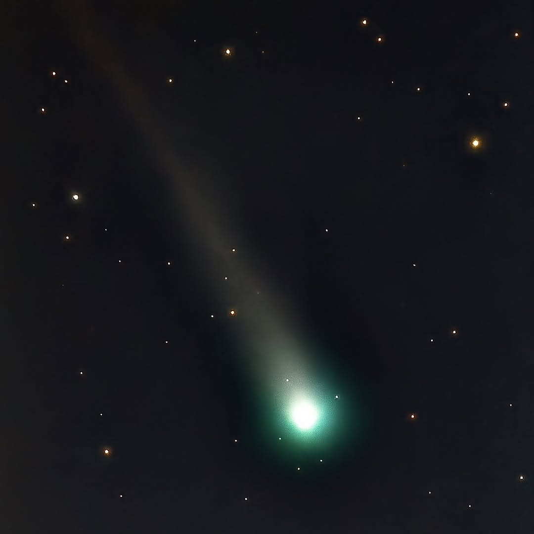 Comet C/2025 A6 Lemmon photographed before dawn